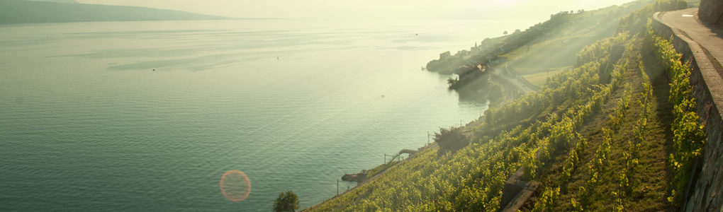 tripinfo_lausanne
